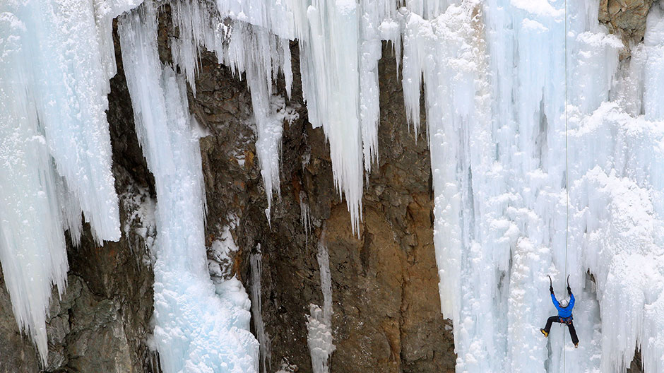 A Reuters photograph taken by Arnd Wiegmann.