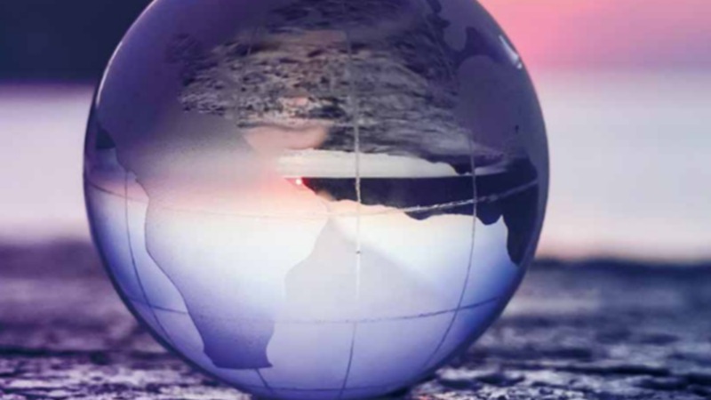 Global Trade Management - truck moving between the trees