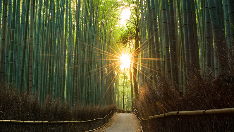 牛島総合法律事務所