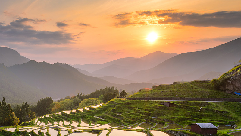 テイ・エステック株式会社