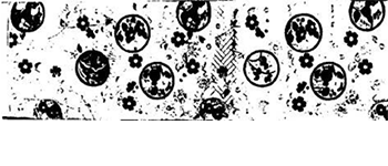 【図14】